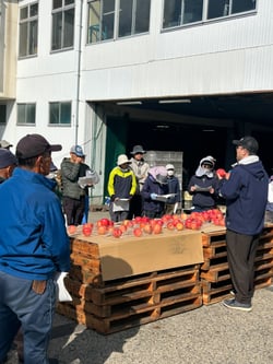目揃い会で基準の確認（山ノ内町の夜間瀬果実共選所にて）