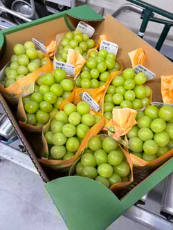 出荷されたぶどう（須坂市のぶどう共選所にて）