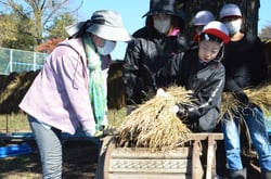 「足踏み脱穀機」で脱穀作業をする児童