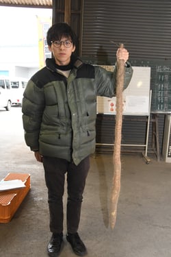 きれいに掘り出された長いナガイモ（長野県長野市、１０月３１日）