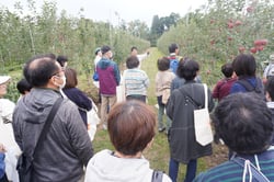 収穫方法のポイントを参加者に伝えるＪＡ職員