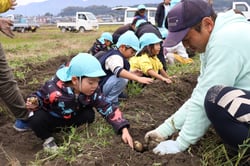 班員と楽しくジャガイモを収穫する児童