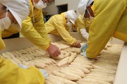 １本１本丁寧に大根を並べる組合員