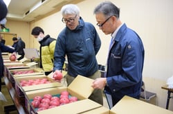 着色や玉揃いなどを厳正に審査する審査員ら