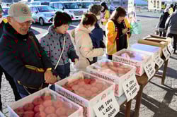 リンゴを買い求める来場者（１１月２２日、立科町・しらかば西部営農センターで）