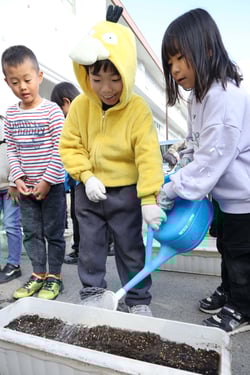 チューリップの球根を植えたプランターに水やりをする湖東小学校の児童