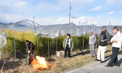 マンモスバーナーの使用方法を確認する生産者ら