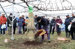 防寒対策を実践する担当者