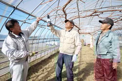 「ＪＡ信州諏訪生食用ぶどう研究会」会員にぶどうの冬季管理を指導する森山所長代理（左）