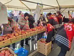 サンふじの詰め放題を楽しむ客