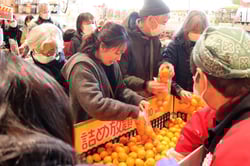 ミカンの詰め放題を楽しむ利用者