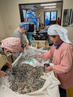 袋詰めを行う女性部員たち