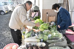 自家栽培した野菜を販売するメンバー