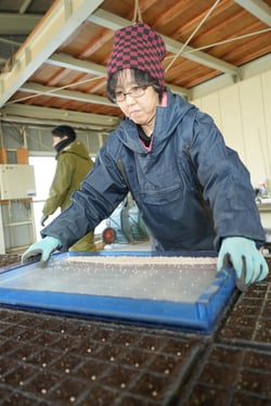 は種作業を行う職員