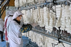 吊るした凍り餅を手直す会員ら