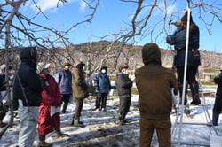 せん定のポイントを確認する参加者