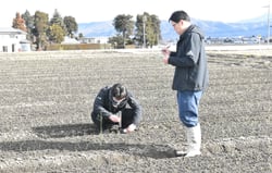 玉ねぎの苗の長さや葉数を確認する営農指導員ら