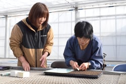 手作業の播種作業を体験する桂さん（右）