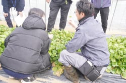 陸ワサビの生育状況を確認する（株）松田さん㊨と生産者