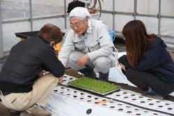 定植作業のアドバイスを受ける参加者（左）