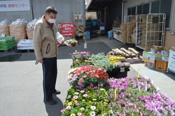 ＪＡファーム南部店で花を選ぶ来客者