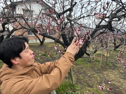 開花を確認する北村技術員