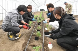 定植の説明を聞くＪＡ職員ら（長野県松本市で）