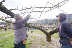 作業方法について確認するＪＡ営農指導員㊧と生産者（安曇野市三郷）