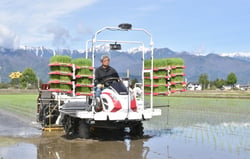 田植え機で苗を植える宮澤幸司さん（長野県安曇野市で）