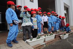 贈呈されたチューリップを前に記念撮影をする湖東小学校の１年生（長野県茅野市で）
