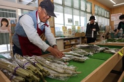 採れたての新鮮な山菜を並べる小泉さん（長野県諏訪市で）