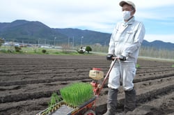 専用の機械で白ネギを定植する関谷さん（長野県箕輪町で）