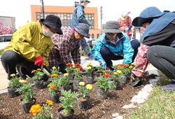 協力して花苗を定植する部員（長野県岡谷市で）