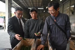 規格を確認する生産者（２３日、長野県松本市にて）