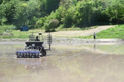 直播植えをする様子（長野県長野市、５月７日）
