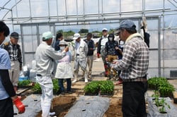 ピーマン定植時の説明を聞く参加者（長野県長野市、５月１３日）