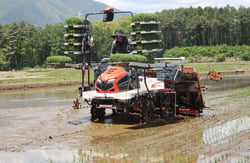 あぐりクリエイトが管理する水田で行った田植え（長野県富士見町で）