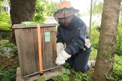 巣箱を管理する植松部長（長野県富士見町で）