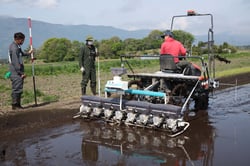 種もみが均一に播種できているか複数人で確認しながら進めた作業（長野県富士見町で）