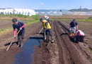 子どもたちのために畝立てとマルチ張りを行う職員（長野県茅野市で）