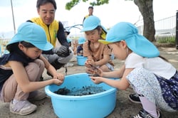 職員が見守る中、たねダンゴづくりを楽しむ富士見保育園の園児（長野県富士見町で）