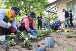 山や湖をイメージした並び方で花を植える参加者（長野県原村で）