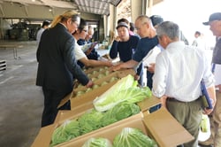 出荷規格を確認する生産者（５月１８日、御代田町で）