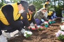 「紅林荘」で花壇に色とりどりの花苗を植える参加者（長野県富士見町で）