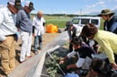 原村のほ場で小玉スイカの株を見ながら摘芯を学ぶ参加者（長野県原村で）