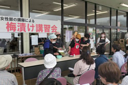 梅漬け講習会でカリカリ漬けのポイントを説明する西塚さんら女性部員（長野県飯田市で）