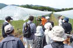 下枝かきの方法を説明するＪＡ担当職員（長野県伊那市で）
