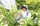丁寧にブルーベリーを収穫する塩沢さん（長野県飯田市で）