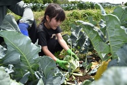 収穫したブロッコリーに笑顔の参加者（長野県東御市で）