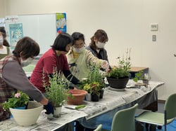 好みの鉢と苗で寄せ植えを楽しんだ講習会（長野県上田市で）